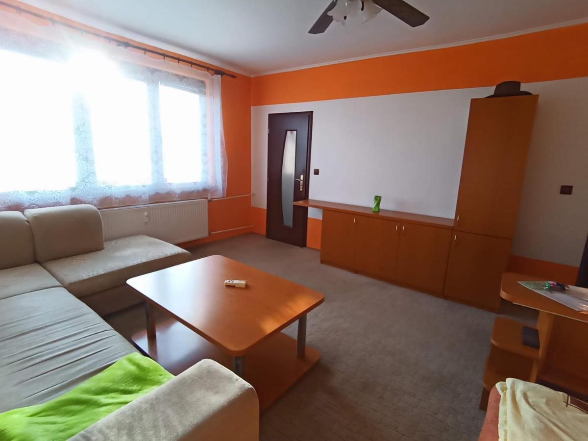 Wolf Apartman Pokojne Ubytovanie V Povazskej Bystrici Ticha Lokalita S Parkovanim Vsade Blizko Vhodne Pre Pracovne Cesty Turistiku Aj Oddych Plne Vybavena Kuchyna Povazska Bystrica Exterior photo
